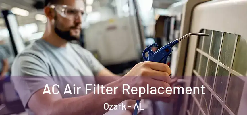  AC Air Filter Replacement Ozark - AL