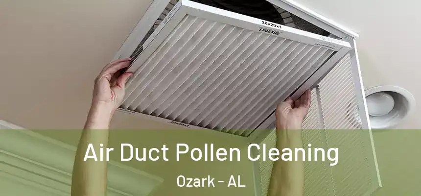  Air Duct Pollen Cleaning Ozark - AL