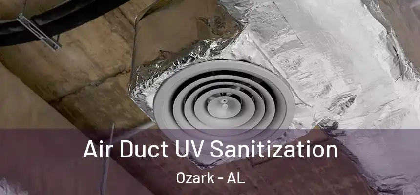  Air Duct UV Sanitization Ozark - AL
