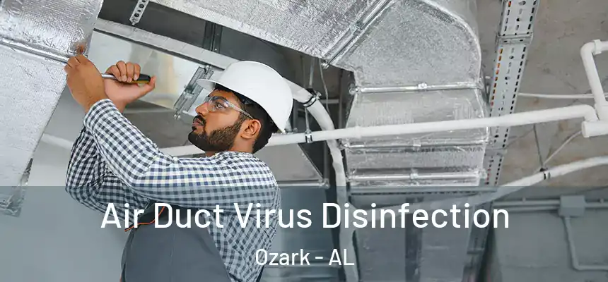  Air Duct Virus Disinfection Ozark - AL
