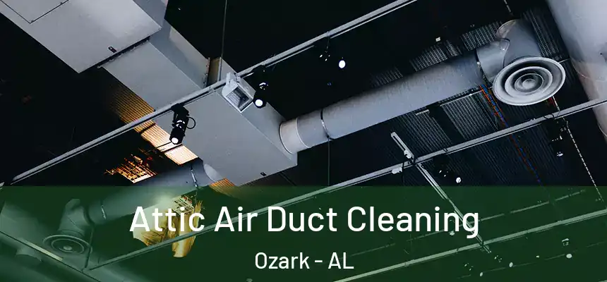  Attic Air Duct Cleaning Ozark - AL