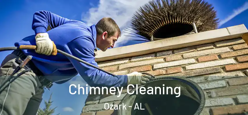 Chimney Cleaning Ozark - AL