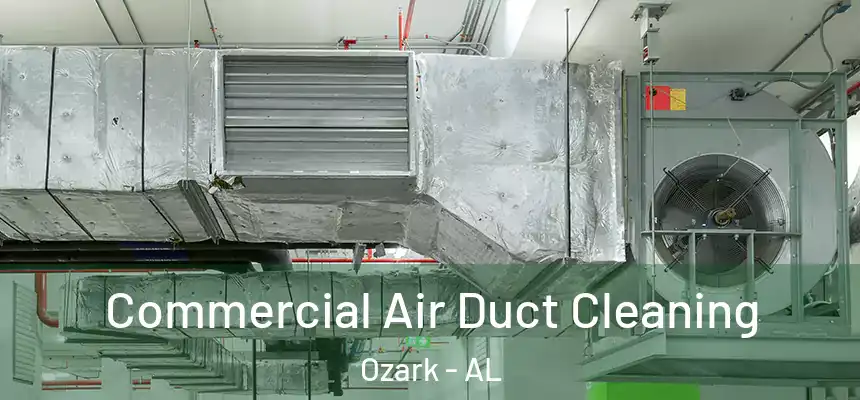  Commercial Air Duct Cleaning Ozark - AL