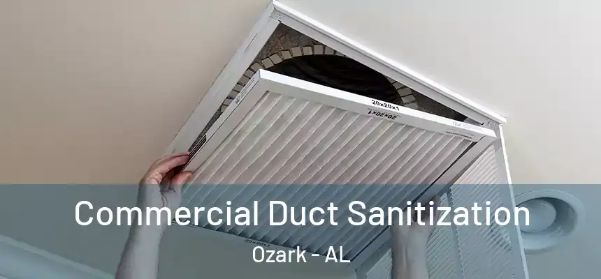  Commercial Duct Sanitization Ozark - AL