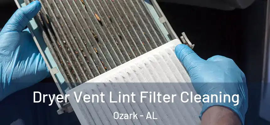  Dryer Vent Lint Filter Cleaning Ozark - AL