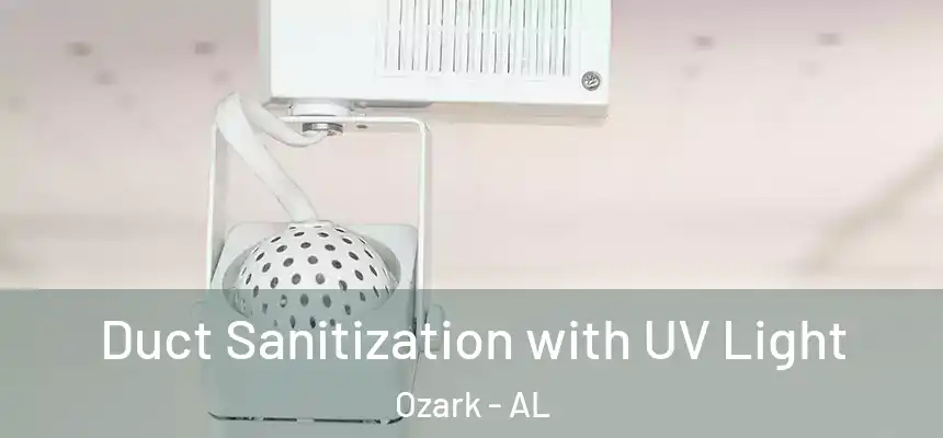  Duct Sanitization with UV Light Ozark - AL