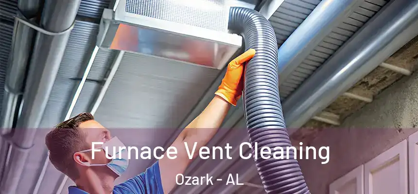  Furnace Vent Cleaning Ozark - AL