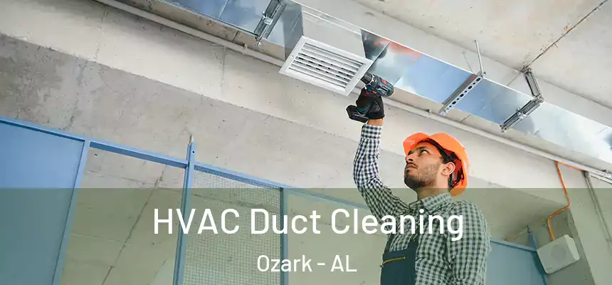  HVAC Duct Cleaning Ozark - AL