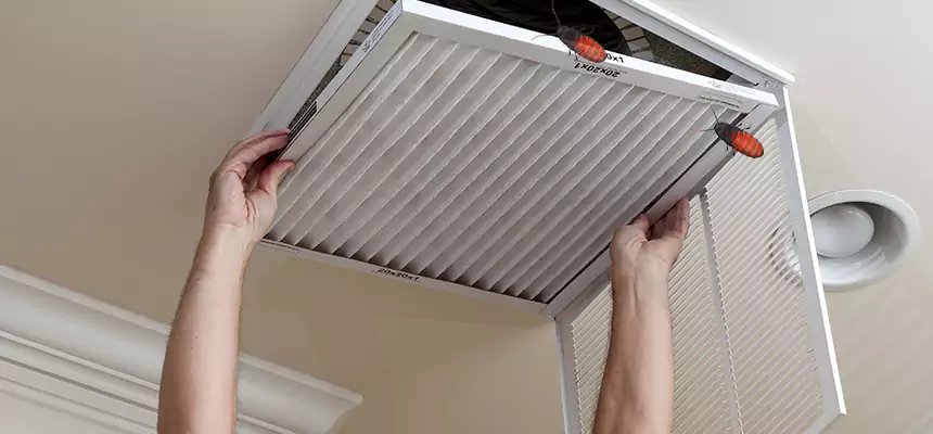 Preventive Cockroach-Proofing for Ducts in Ozark