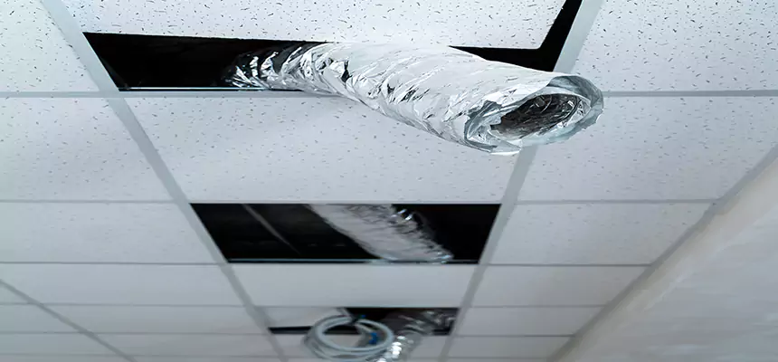 Affordable HVAC Sanitizing After Pest Removal in Ozark