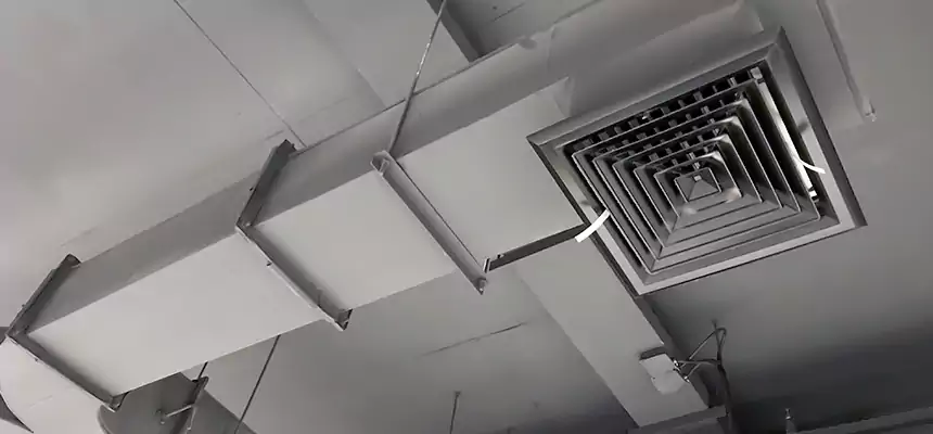 Restorative Allergy Relief Vent Cleaning – Coil, Blower & Housing Detail in Ozark