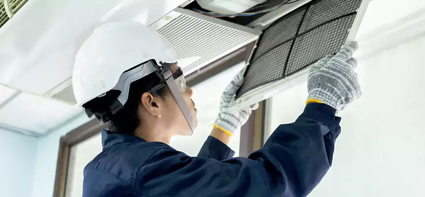 Our Mold & Mildew Removal from Air Ducts Services in Ozark, AL