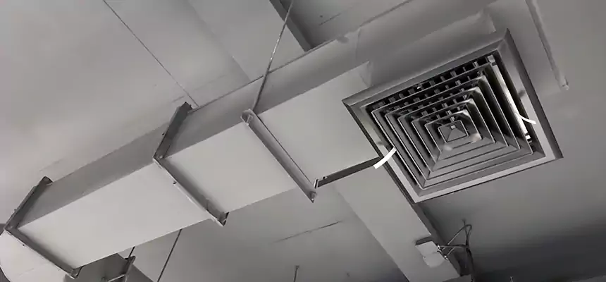 Our Pest Removal From Ducts Services in Ozark, AL