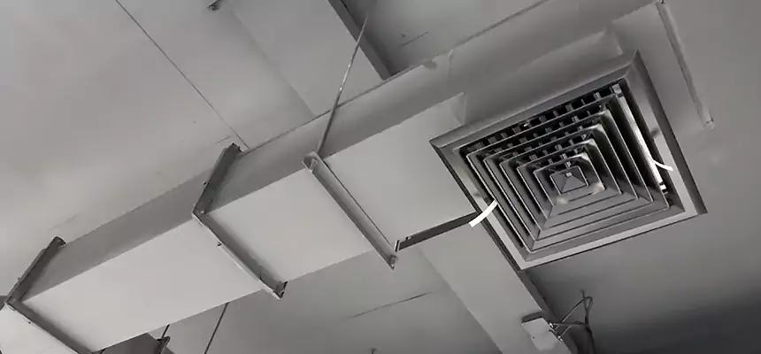 Our Rodent Droppings In Vents Services in Ozark, AL