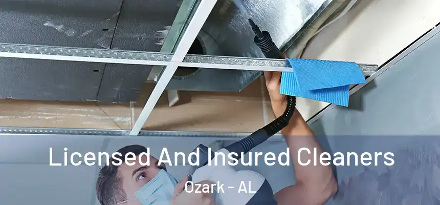  Licensed And Insured Cleaners Ozark - AL