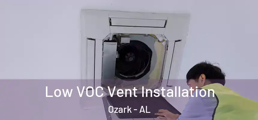  Low VOC Vent Installation Ozark - AL