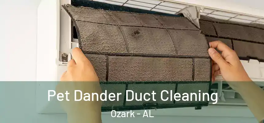  Pet Dander Duct Cleaning Ozark - AL