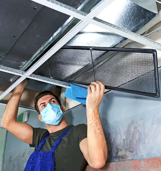 About Air Duct Bacteria Removal in Ozark