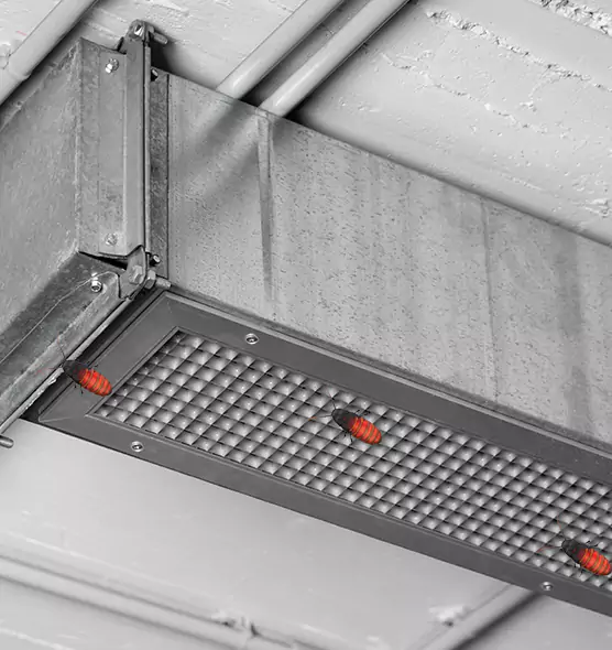 Affordable Insect Removal from Air Ducts in Ozark, AL