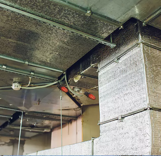 Why Homeowners & Businesses Trust Us in Ozark, AL?