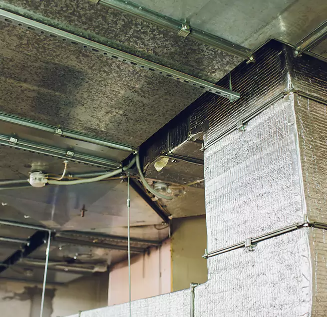 Why Homeowners & Businesses Trust Us in Ozark, AL?