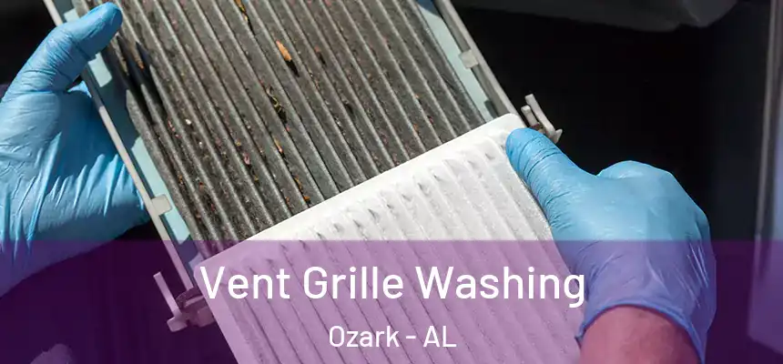  Vent Grille Washing Ozark - AL