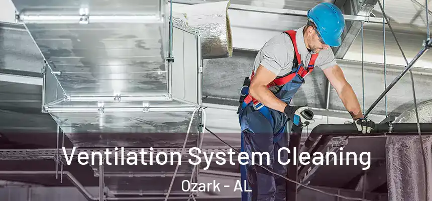  Ventilation System Cleaning Ozark - AL