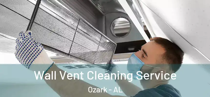  Wall Vent Cleaning Service Ozark - AL